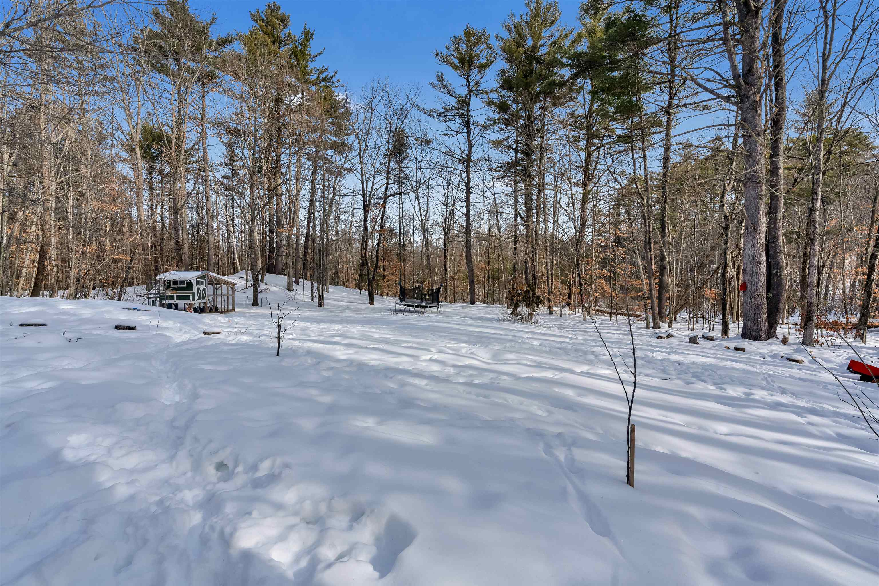 11 North Line Road Wolfeboro, NH 03894 - Photo 10 of 51