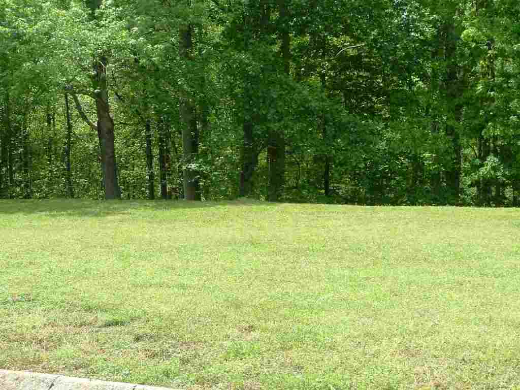 Lot 39 Patio Road Easley, SC 29642 - Photo 3 of 4