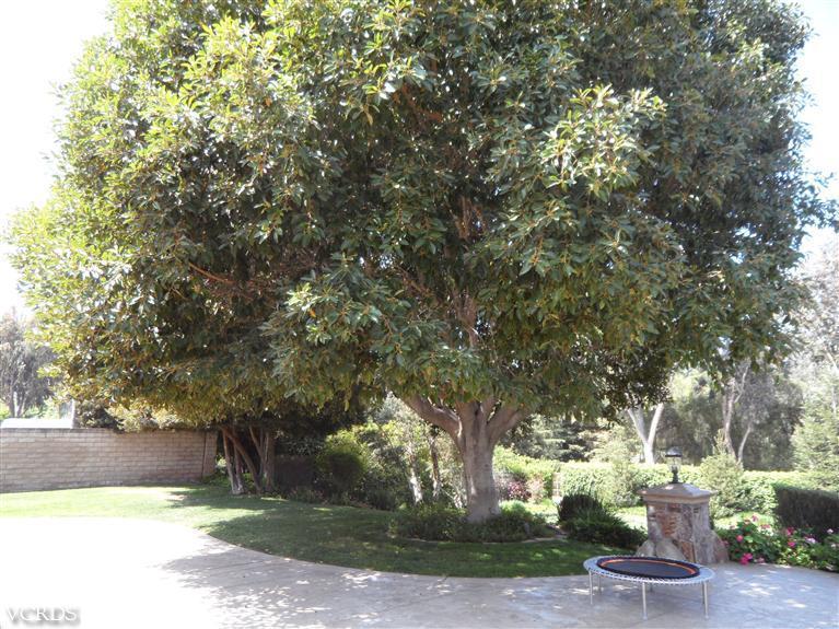 335 Sinaloa Road Simi Valley, CA 93065 - Photo 17 of 21 Additional Photo