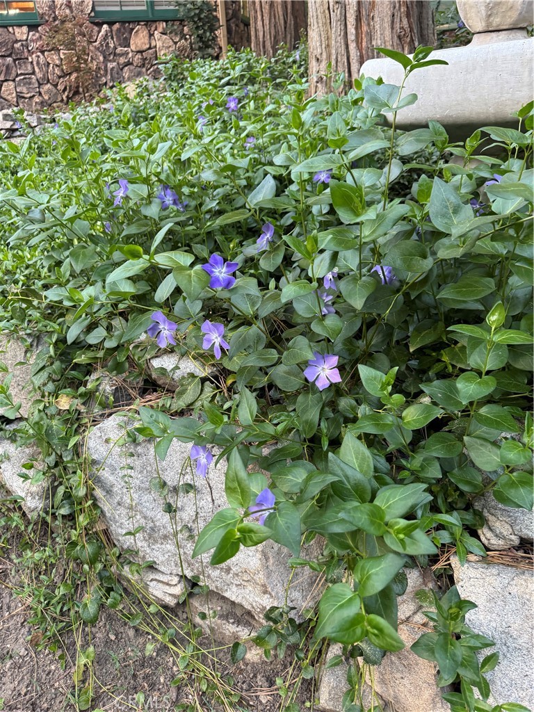 801 Kuffel Canyon Road Lake Arrowhead, CA 92385 - Photo 12 of 39