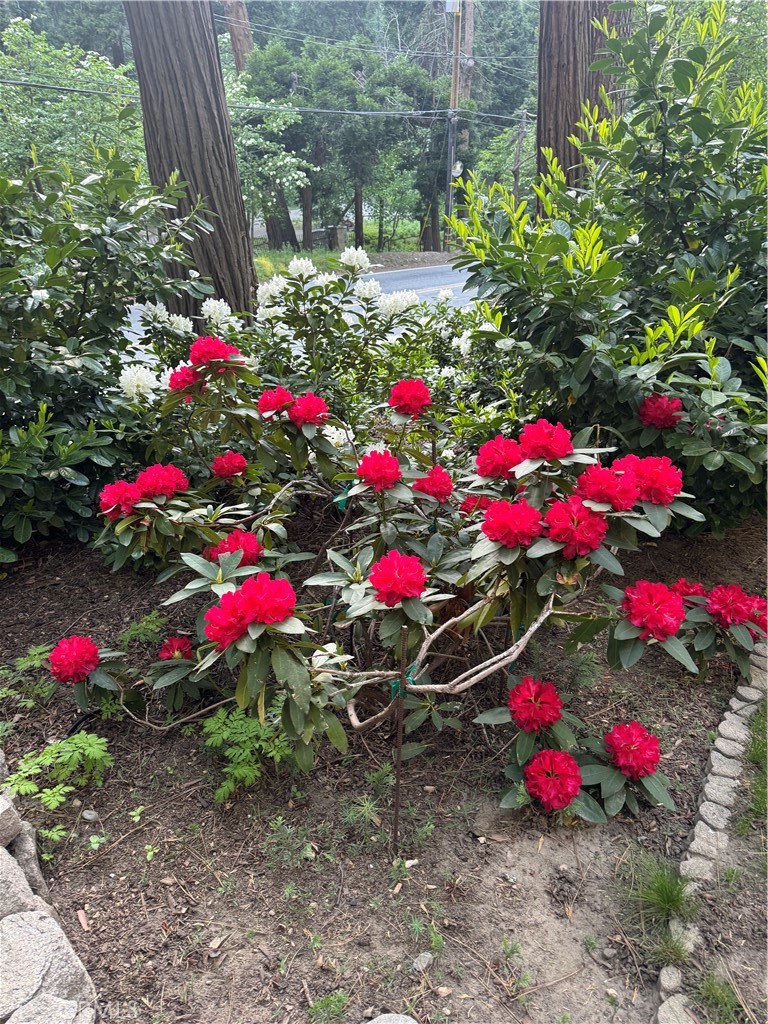 801 Kuffel Canyon Road Lake Arrowhead, CA 92385 - Photo 13 of 39