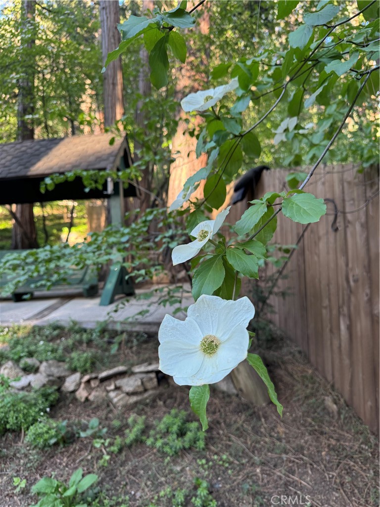 801 Kuffel Canyon Road Lake Arrowhead, CA 92385 - Photo 14 of 39