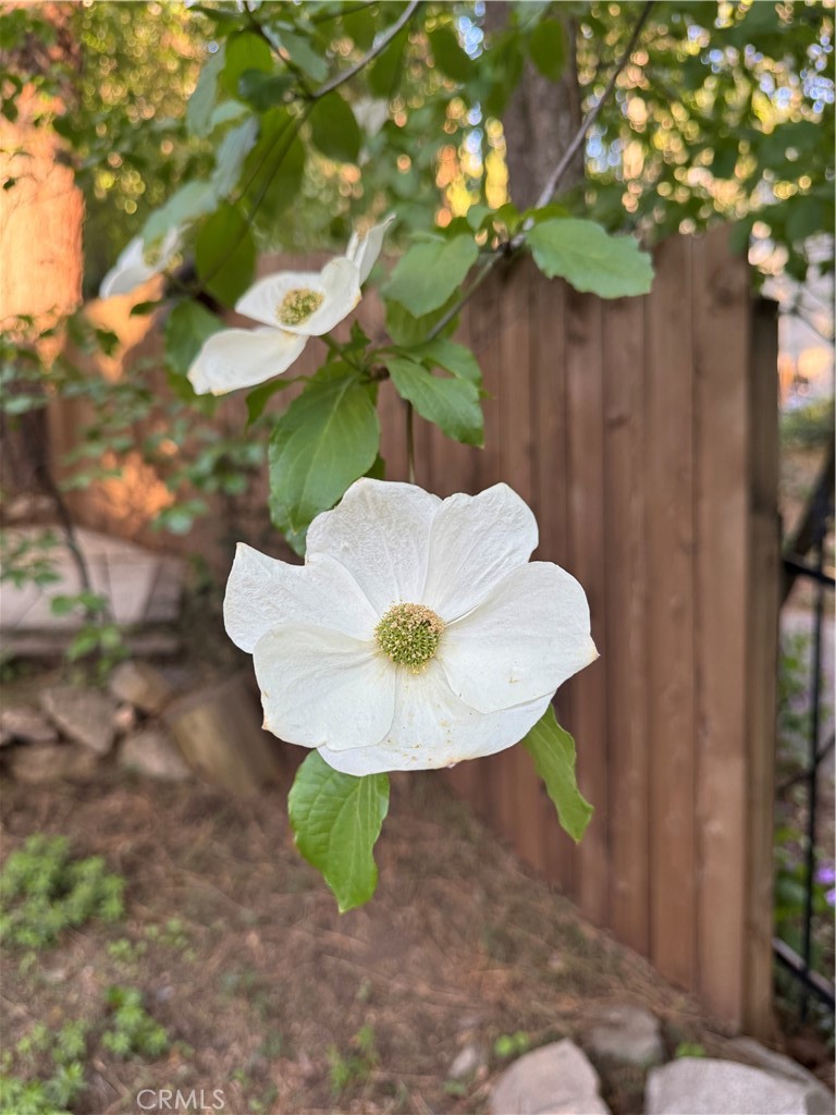 801 Kuffel Canyon Road Lake Arrowhead, CA 92385 - Photo 4 of 39