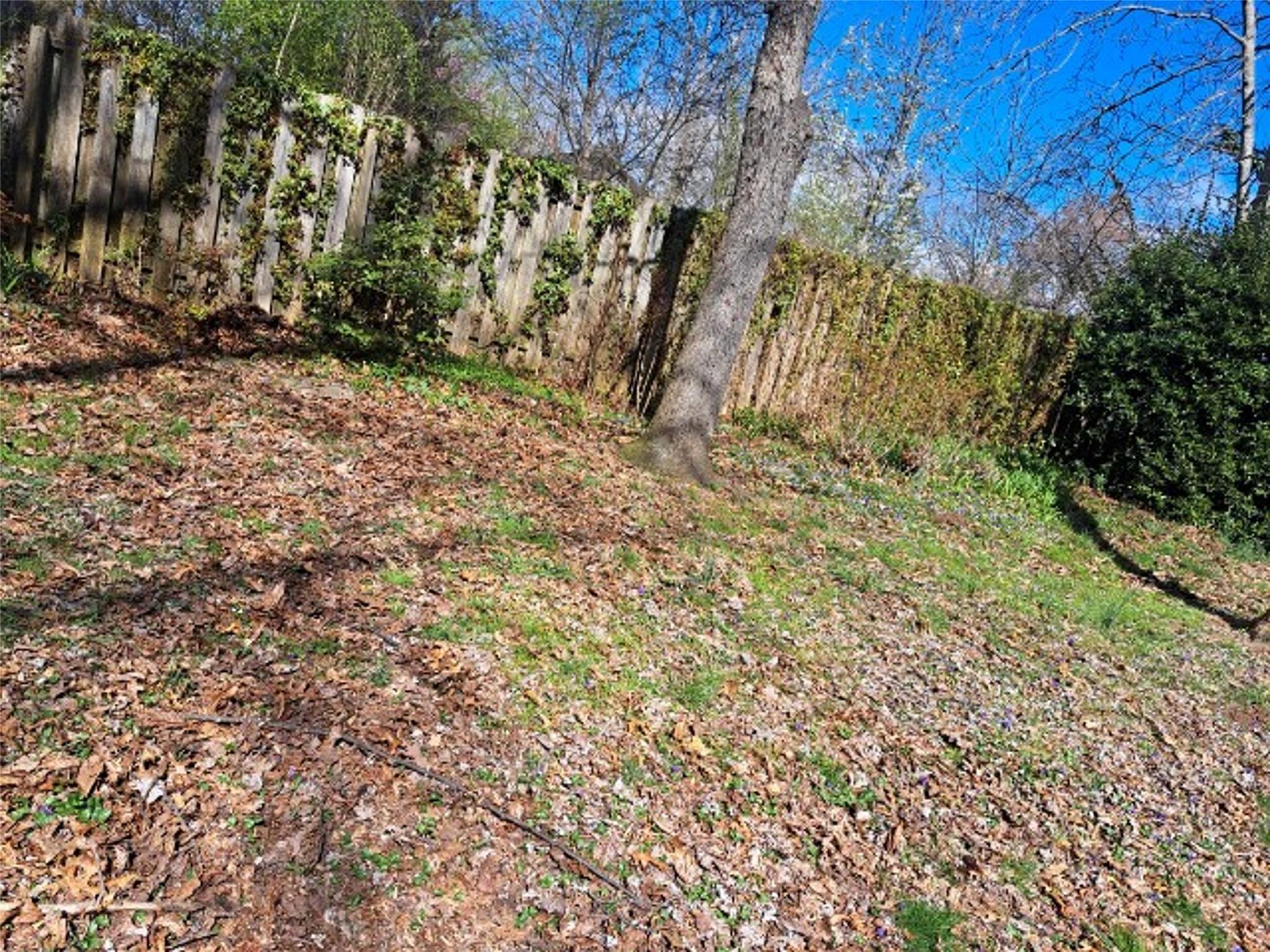 51 Roper Road East Flat Rock, NC 28726 - Photo 10 of 10