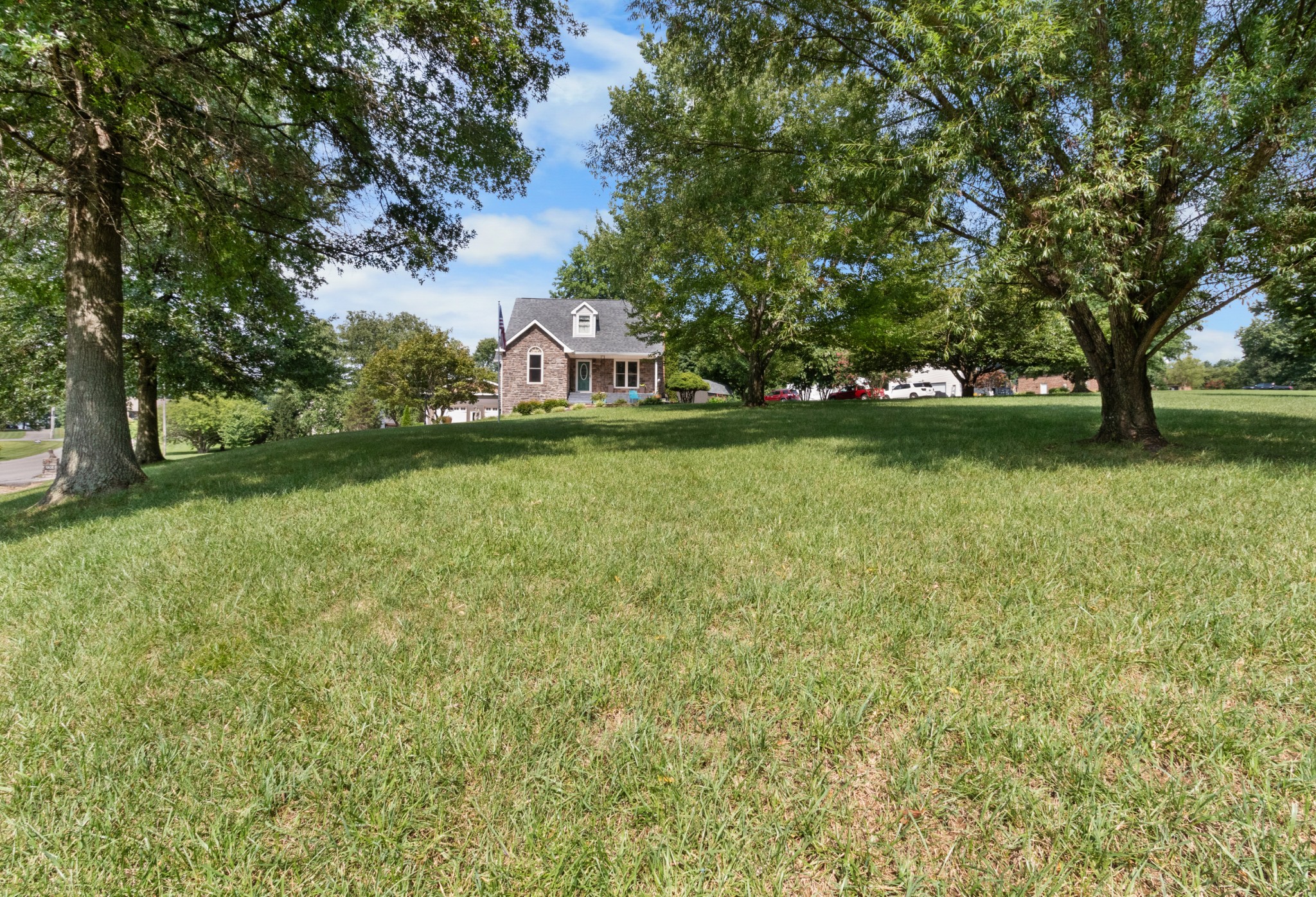 901 Riverchase Road Adams, TN 37010 - Photo 34 of 35 a picture of a yard with a tree