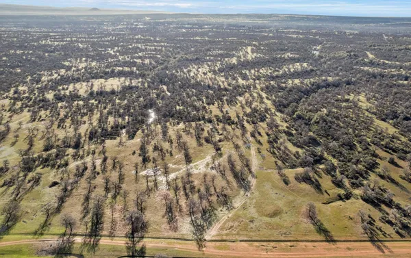 a view of a forest with mountains in the background