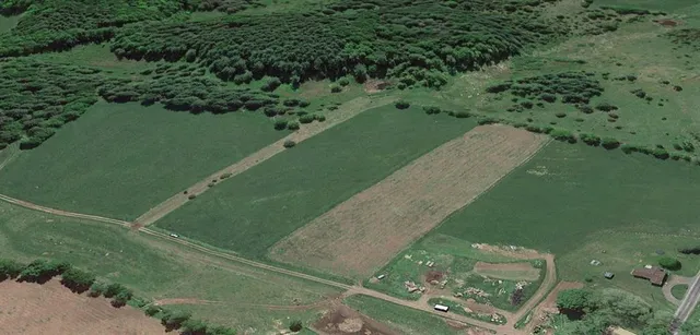 a view of a green yard with a lake
