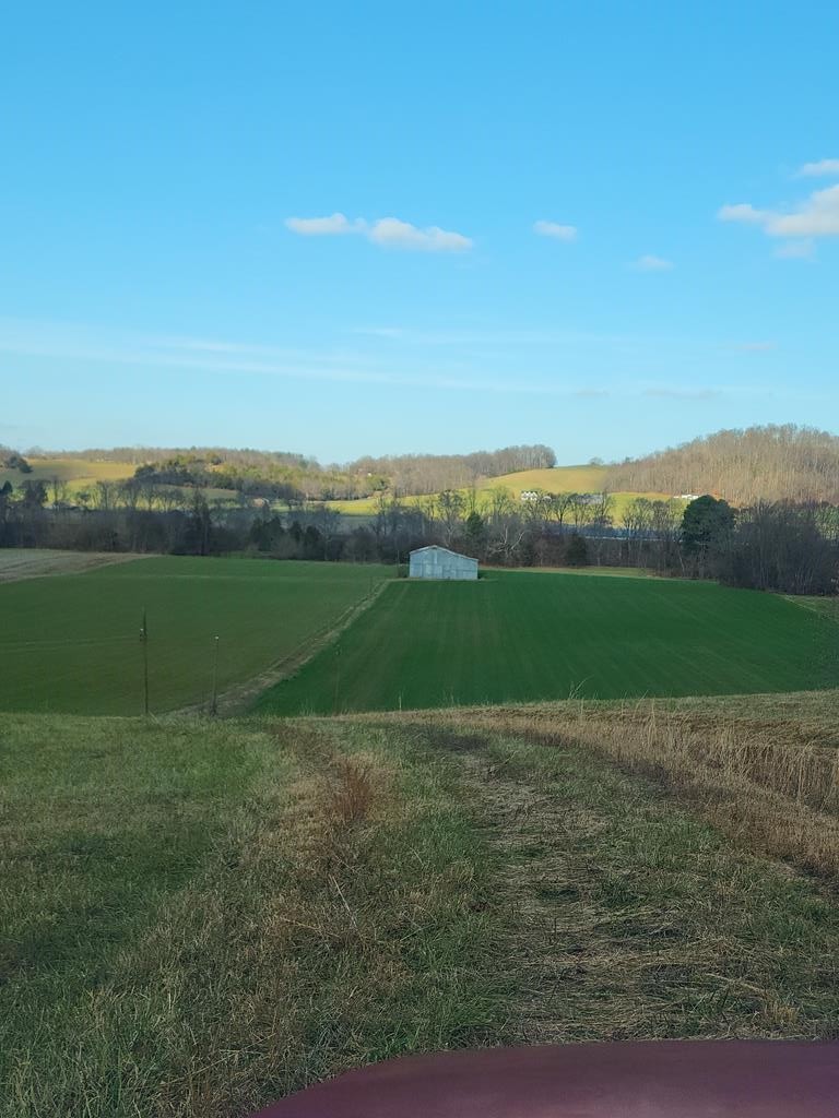 1704 Corby Bridge Road Chuckey, TN 37641 - Photo 28 of 43 a view of a field with a big yard