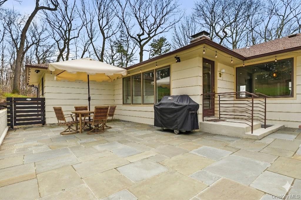 6 Greatmeadow Road Locust Valley, NY 11560 - Photo 41 of 48 Patio