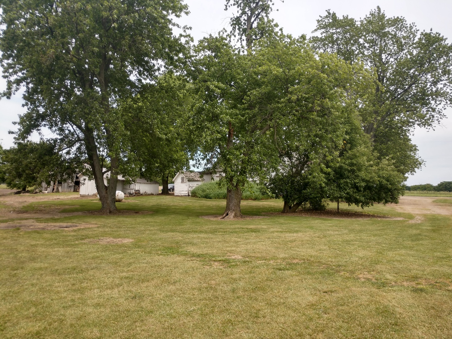 13535 Harrold Point Road Wapella, IL 61777 - Photo 6 of 13
