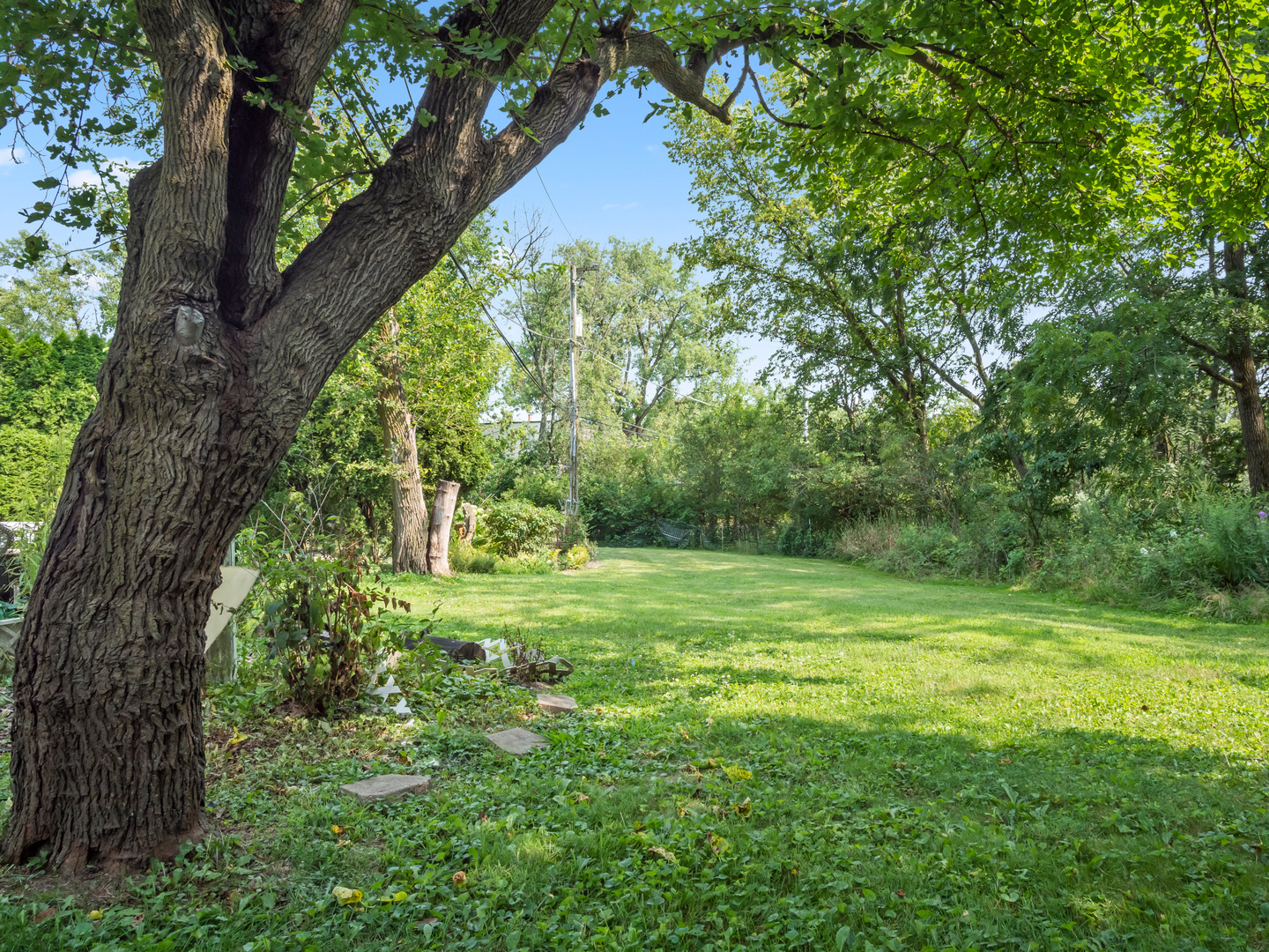 72 Radnor Lane Crete, IL 60417 - Photo 24 of 25 a big yard with lots of green space and trees