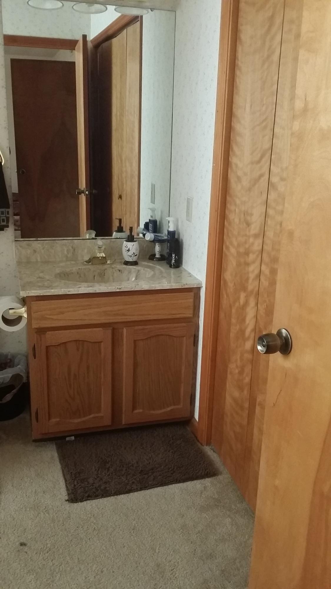 719 Olney Road Vinton, VA 24179 - Photo 11 of 15 a bathroom with a granite countertop sink and a mirror