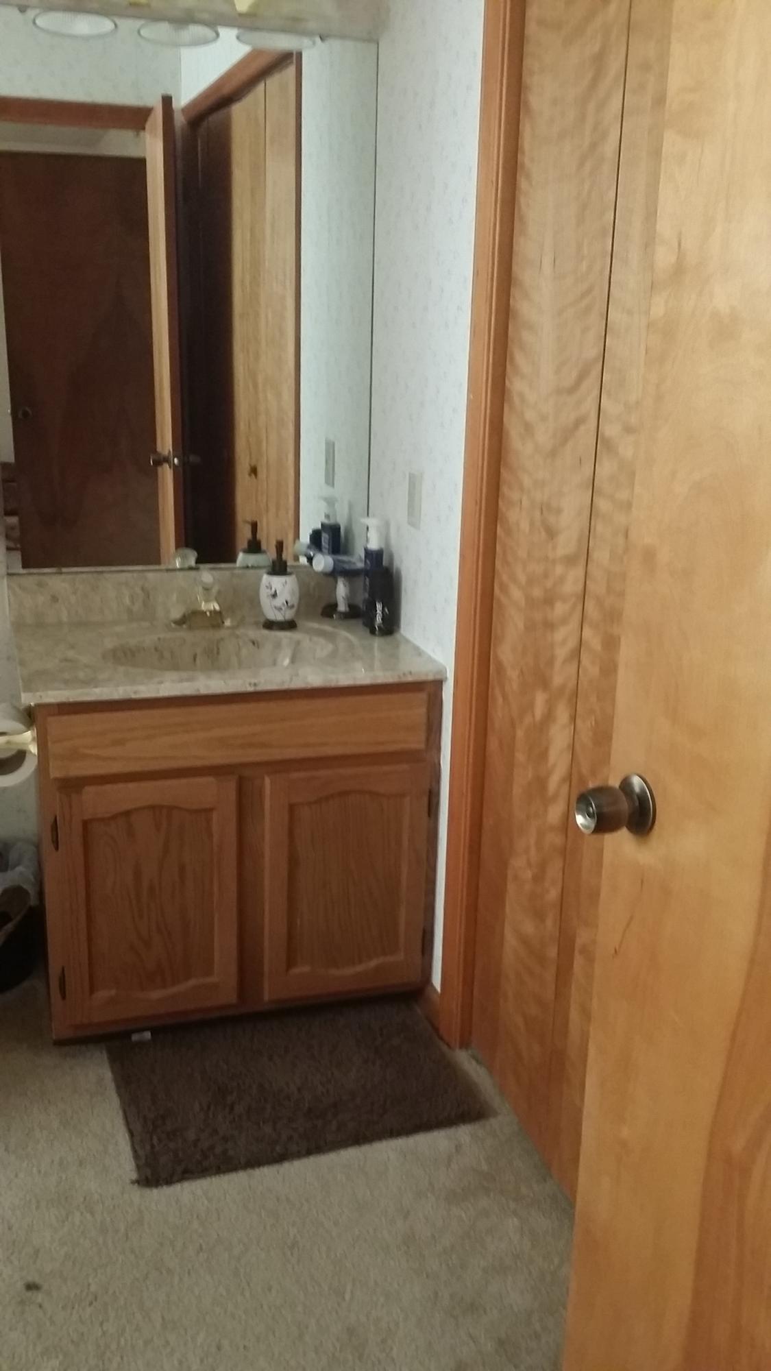719 Olney Road Vinton, VA 24179 - Photo 13 of 15 a bathroom with a granite countertop sink and a mirror