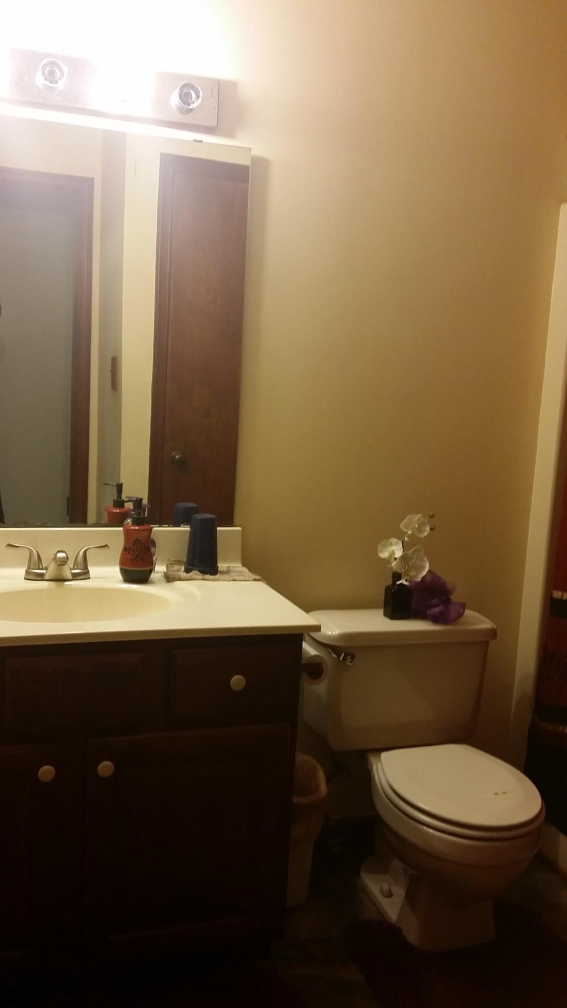 719 Olney Road Vinton, VA 24179 - Photo 9 of 15 a bathroom with a granite countertop toilet sink and mirror