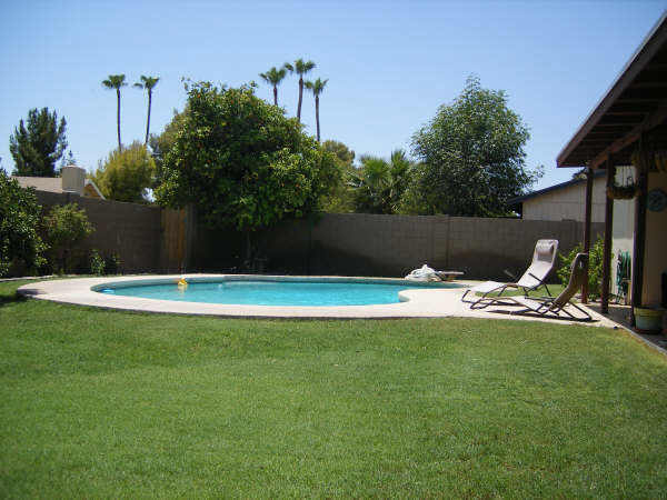 1995 East Rice Drive Tempe, AZ 85283 - Photo 6 of 6 Additional Photo