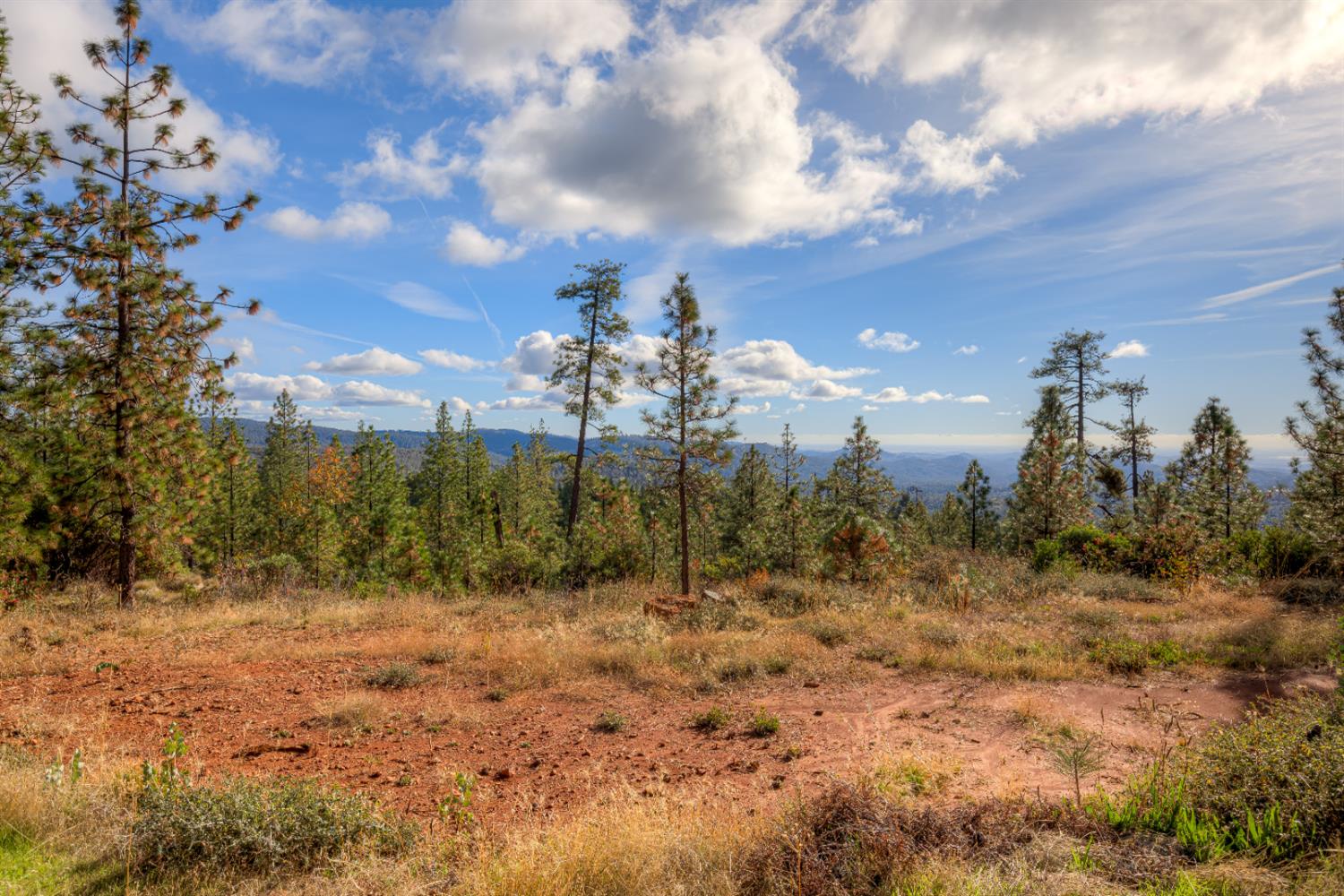 0 Black Tail Road Oroville, CA 95966 - Photo 21 of 33 a view of a dry yard with trees