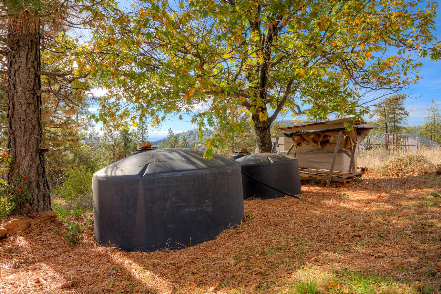 0 Black Tail Road Oroville, CA 95966 - Photo 24 of 33 a view of a house with backyard and sitting area