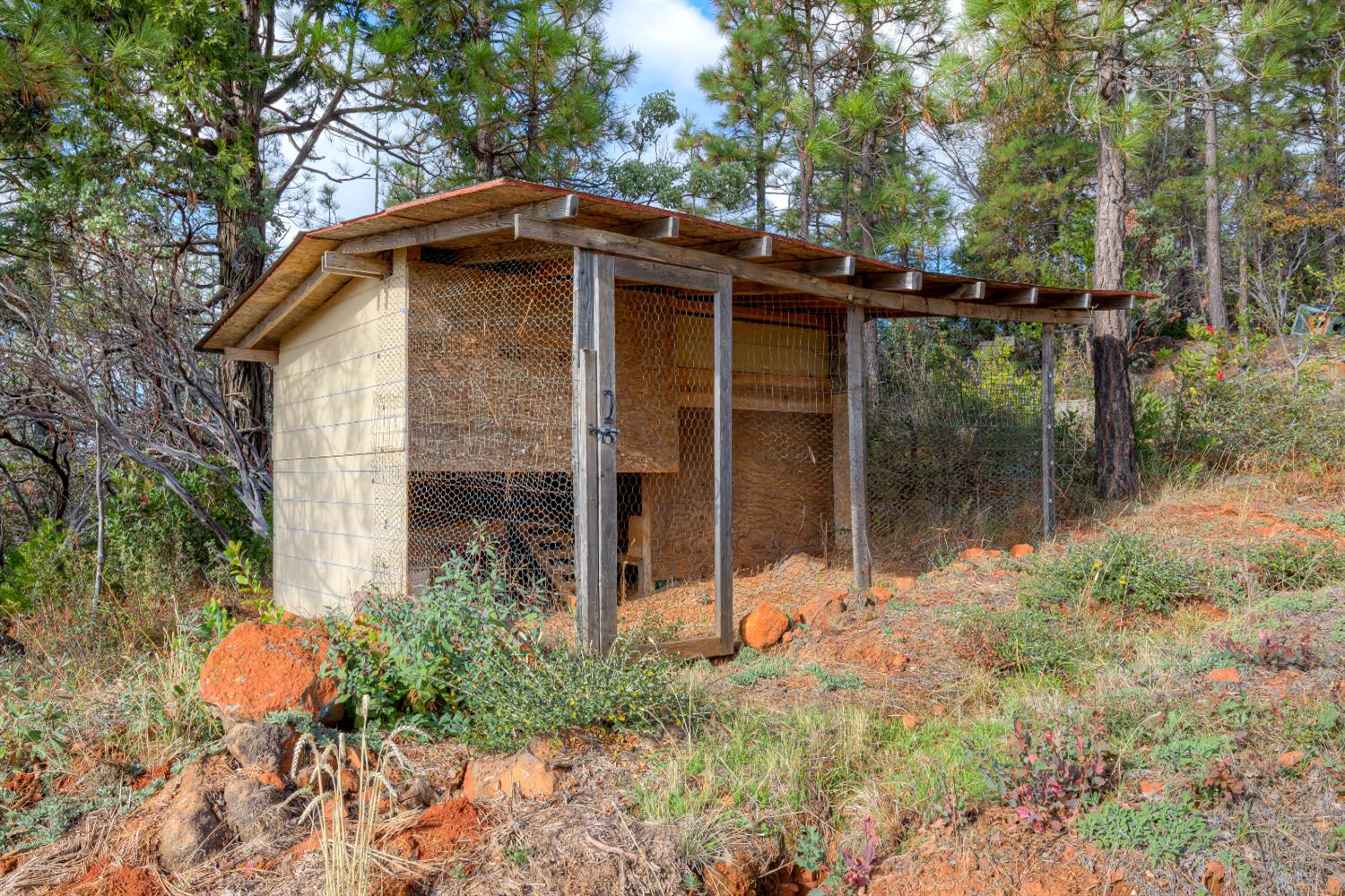 0 Black Tail Road Oroville, CA 95966 - Photo 25 of 33 a backyard of a house with plants and tree