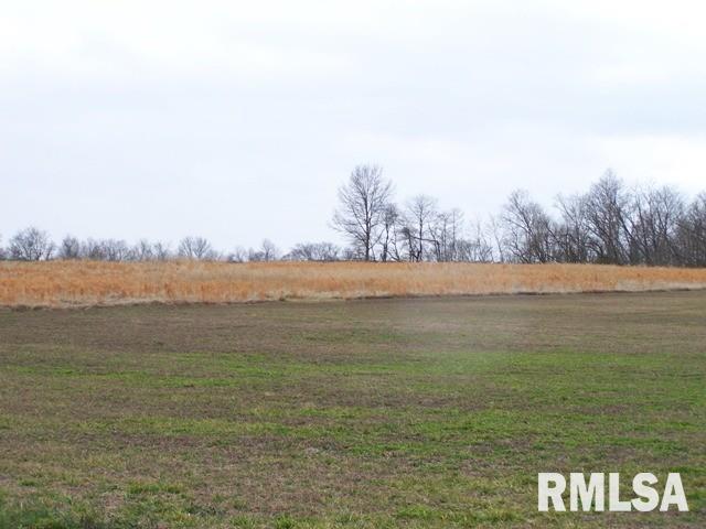 13677 Allen Road Carterville, IL 62918 - Photo 2 of 3 Gallery Image 2