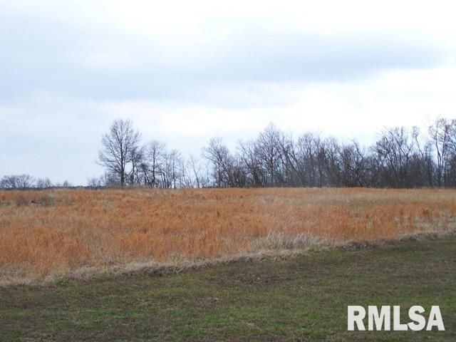13677 Allen Road Carterville, IL 62918 - Photo 3 of 3 Gallery Image 3