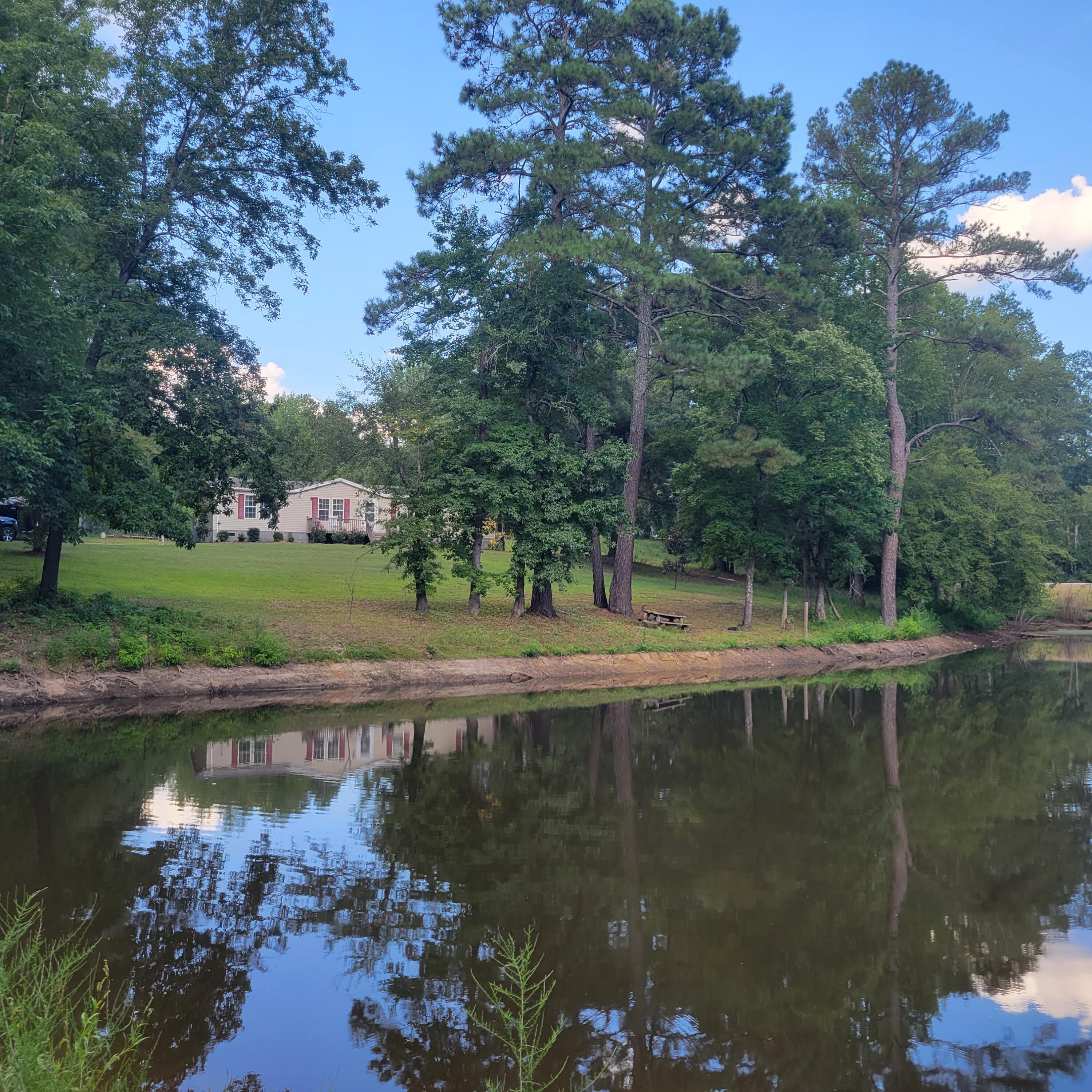 Your own pond on the way home everyday!
