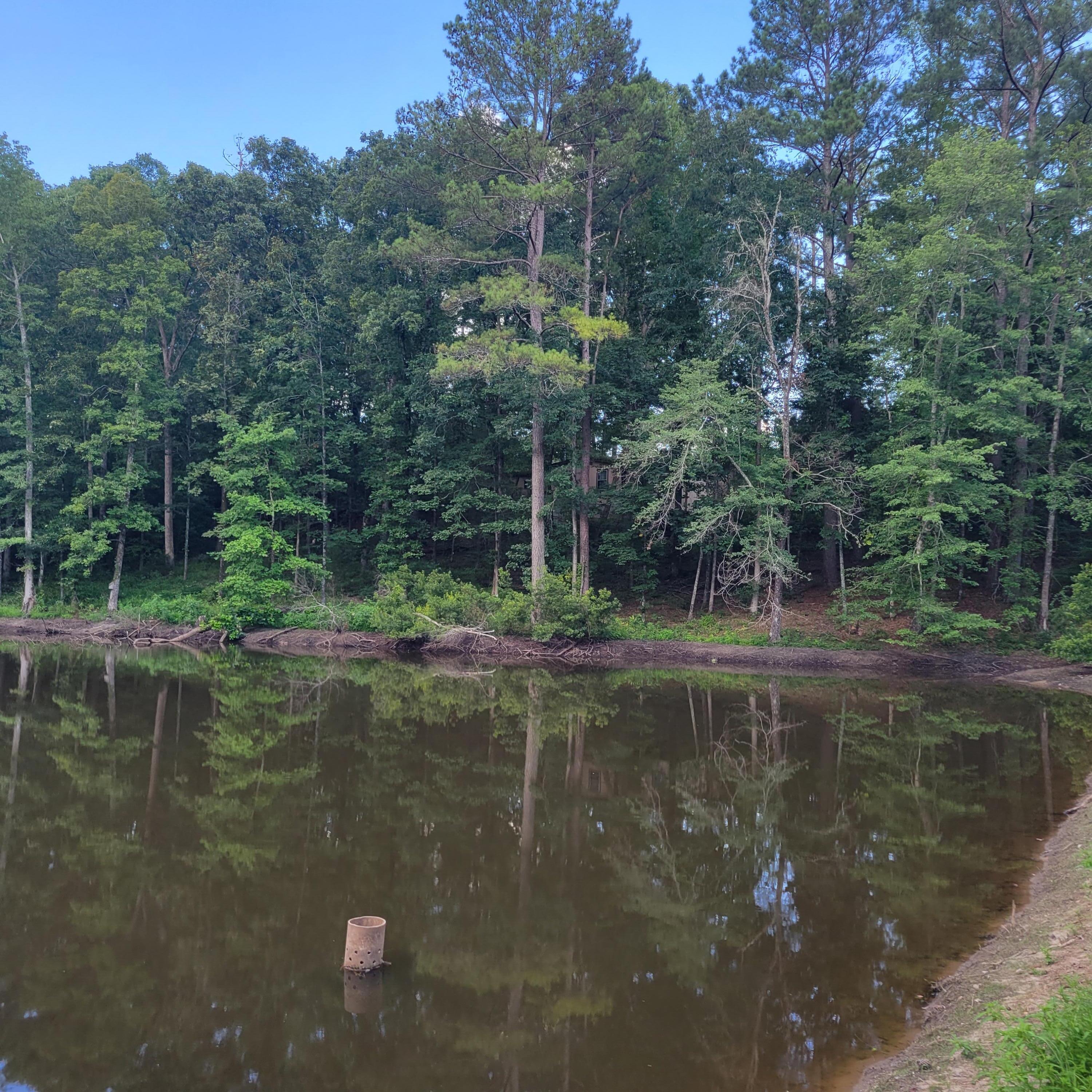 1698 Oakwood Road Thomson, GA 30824 - Photo 2 of 49 20230731_181928