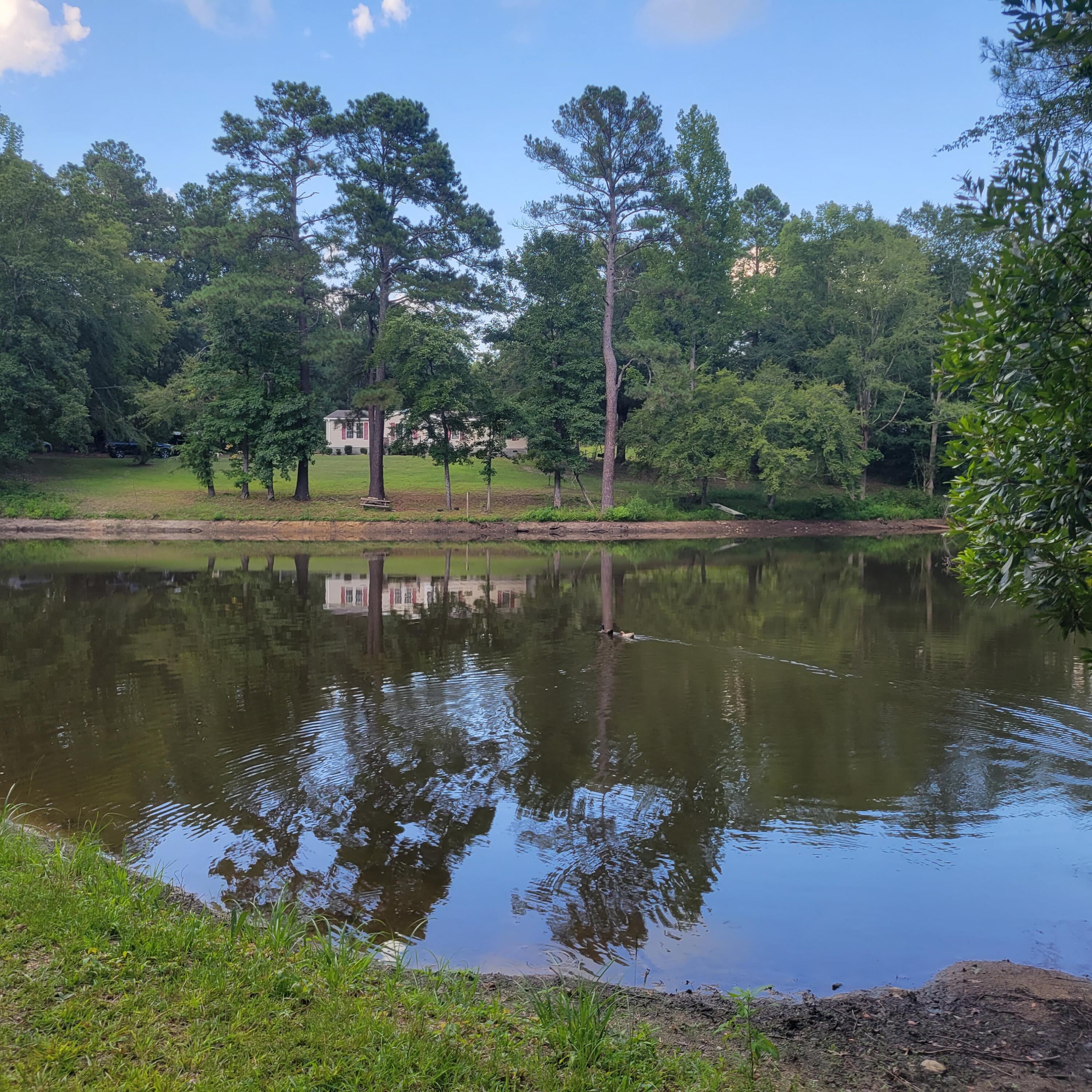1698 Oakwood Road Thomson, GA 30824 - Photo 4 of 49 20230731_182010
