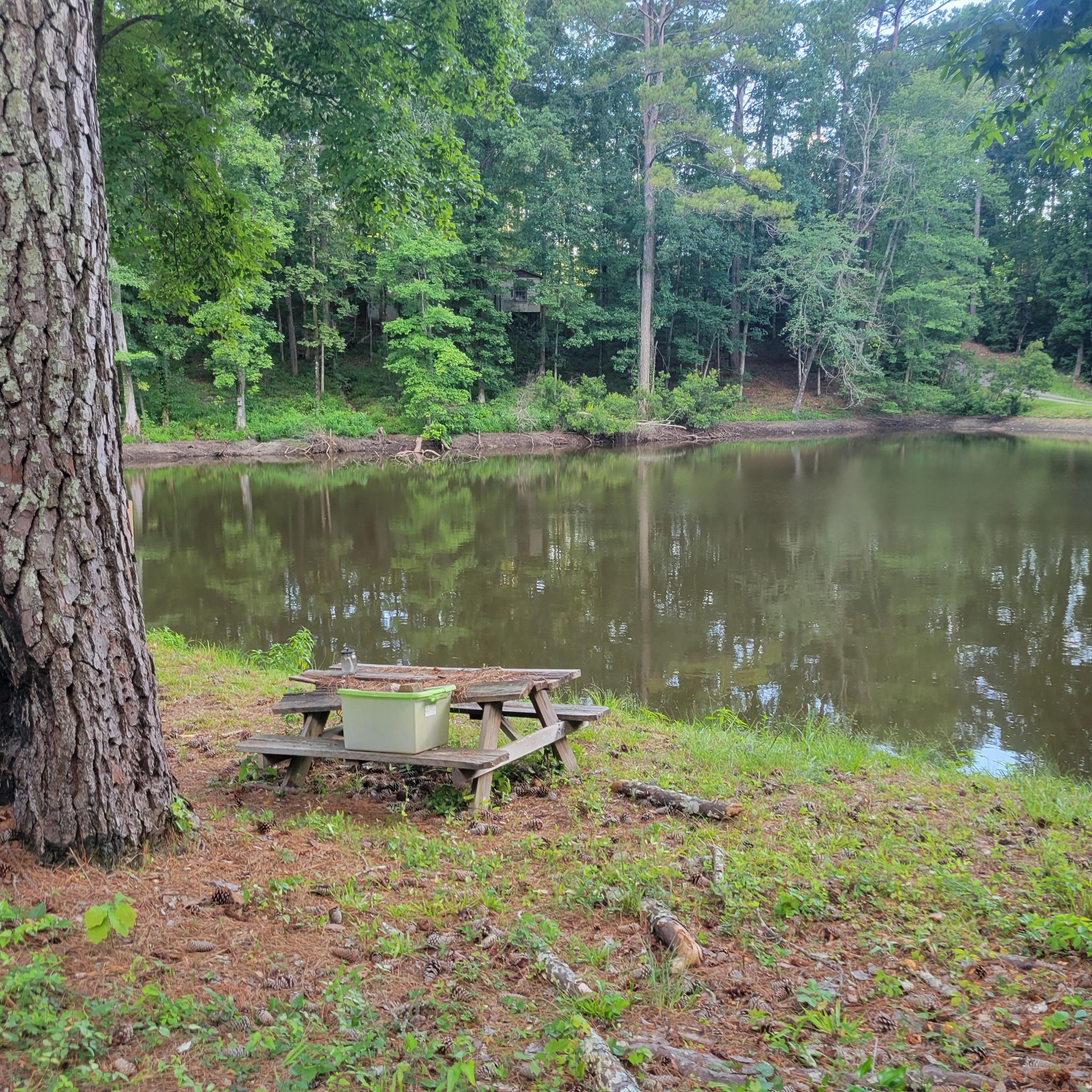1698 Oakwood Road Thomson, GA 30824 - Photo 45 of 49 Lunches by the pond on any day you want.