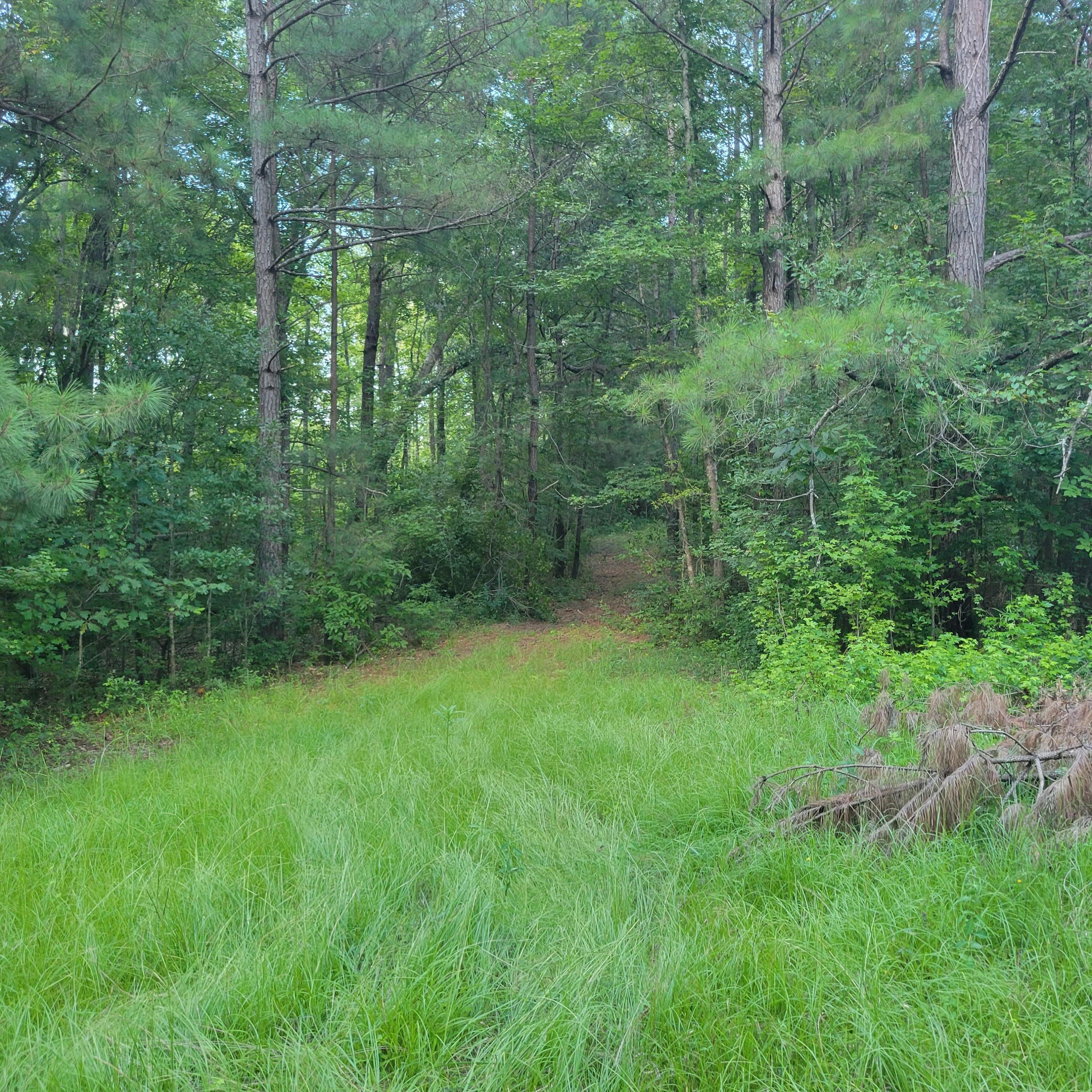 1698 Oakwood Road Thomson, GA 30824 - Photo 47 of 49 Beginning of 4-wheeler trail.