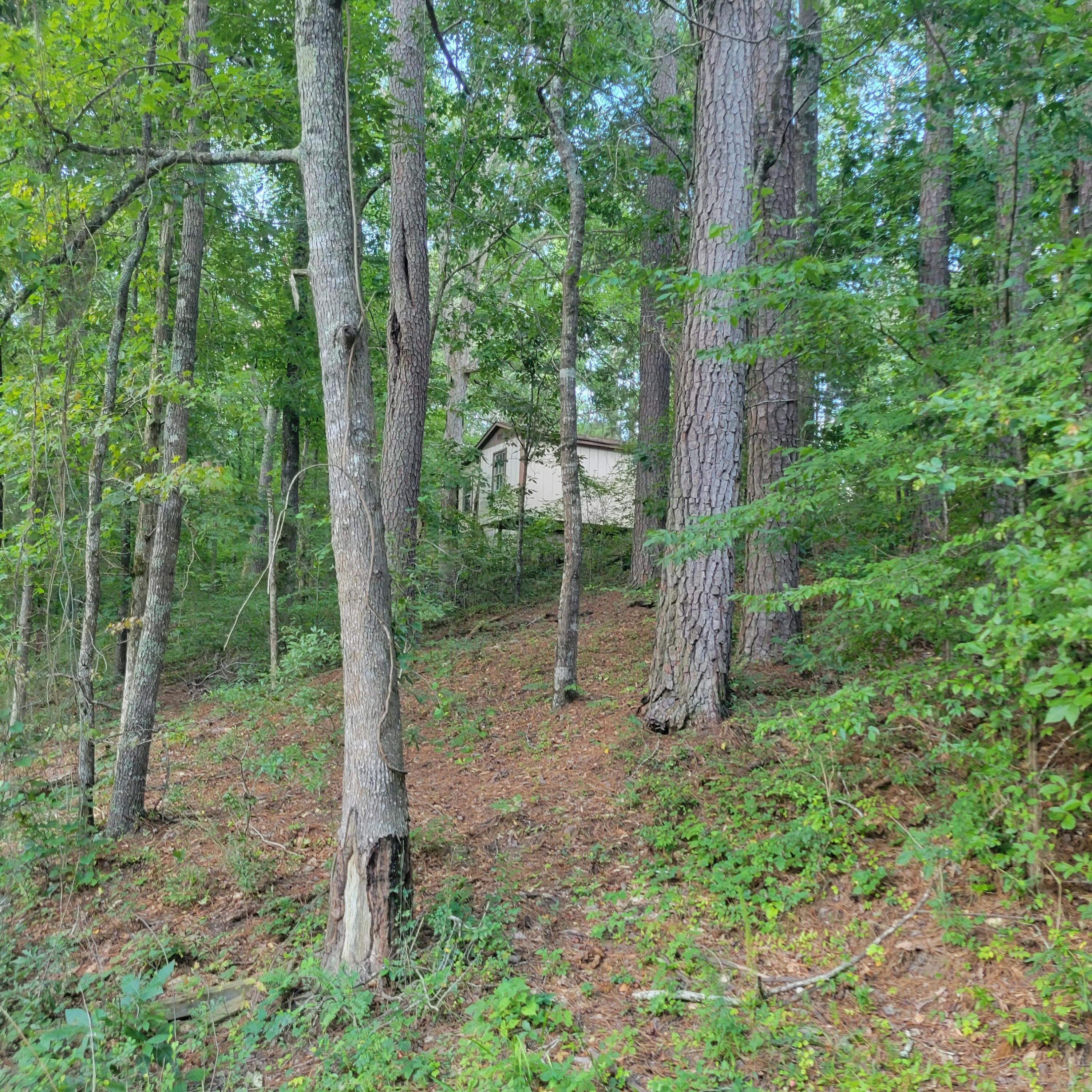 1698 Oakwood Road Thomson, GA 30824 - Photo 49 of 49 This is a 14x66 trailer with an addition that has its own septic tank and well water. FREE, no value was given for this extra mobile home.