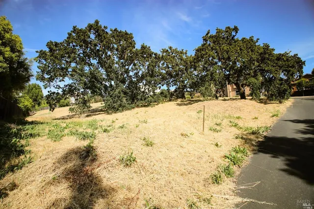 a view of side of snow with trees in the background