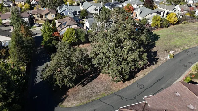 a view of a garden with plants