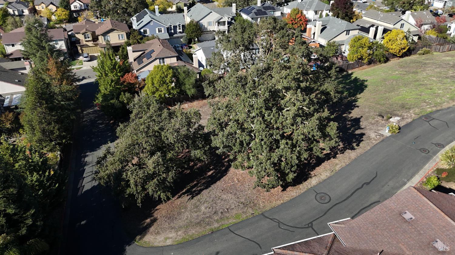 1960 Cooper Drive Santa Rosa, CA 95404 - Photo 13 of 17 a view of a garden with plants