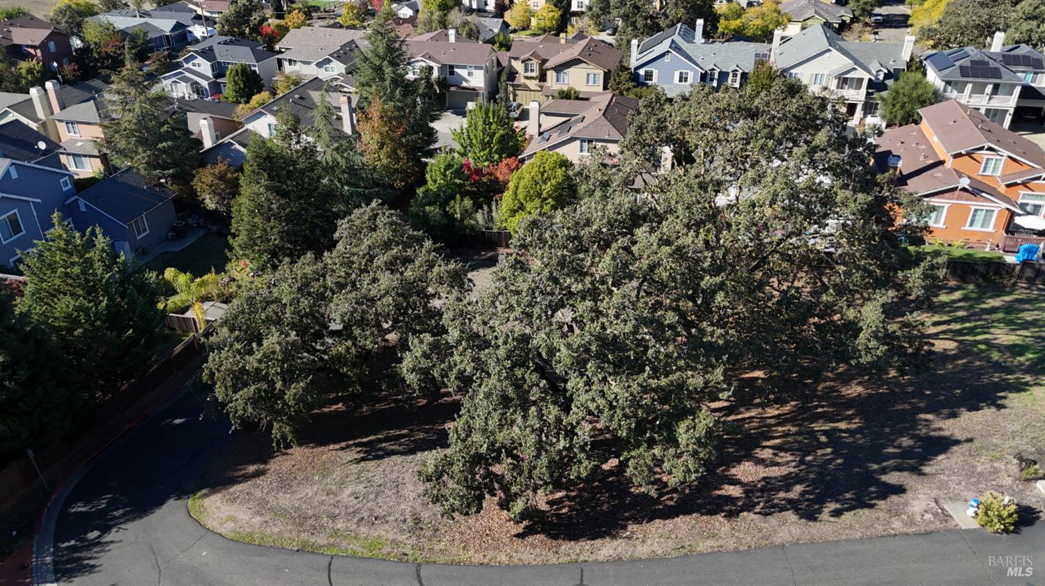 1960 Cooper Drive Santa Rosa, CA 95404 - Photo 14 of 17 a view of a garden