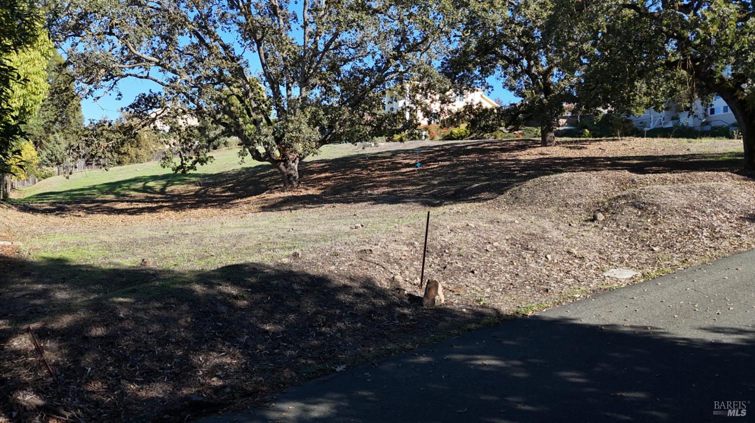1960 Cooper Drive Santa Rosa, CA 95404 - Photo 15 of 17 a view of dirt yard with a large tree
