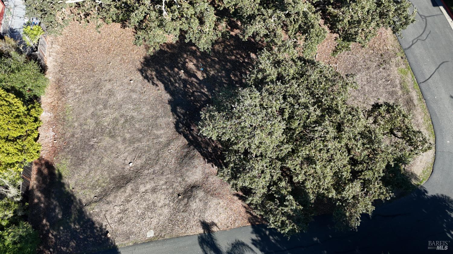 1960 Cooper Drive Santa Rosa, CA 95404 - Photo 16 of 17 a view of a yard with plants and trees