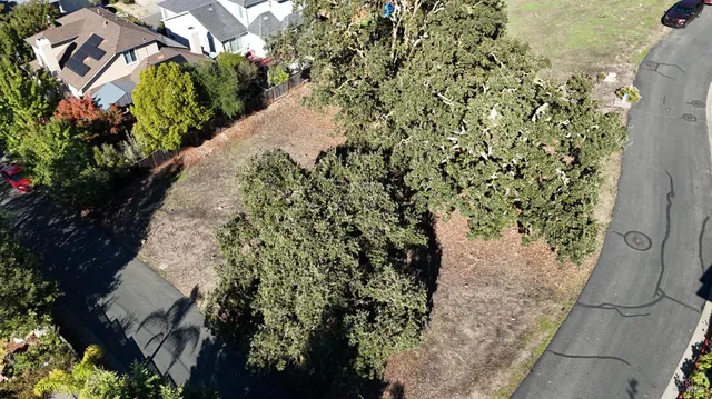 a view of a yard with plants