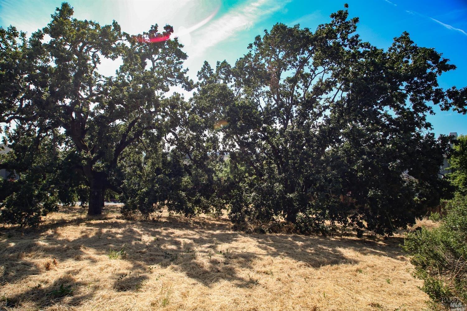 1960 Cooper Drive Santa Rosa, CA 95404 - Photo 2 of 17 a view of tree covered with snow