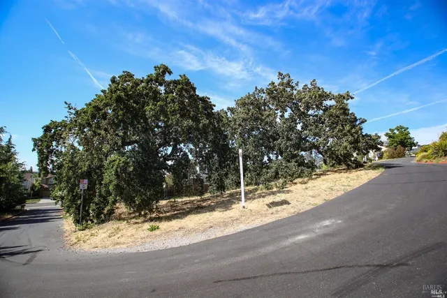 a view of a yard with a tree
