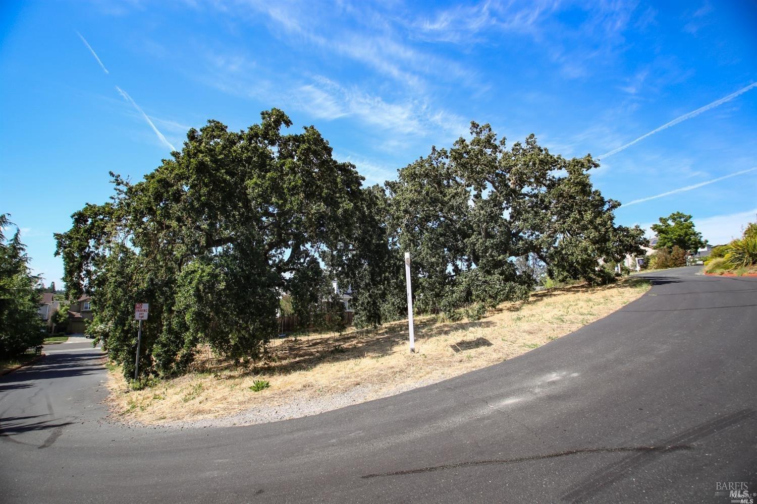 1960 Cooper Drive Santa Rosa, CA 95404 - Photo 4 of 17 a view of a yard with a tree