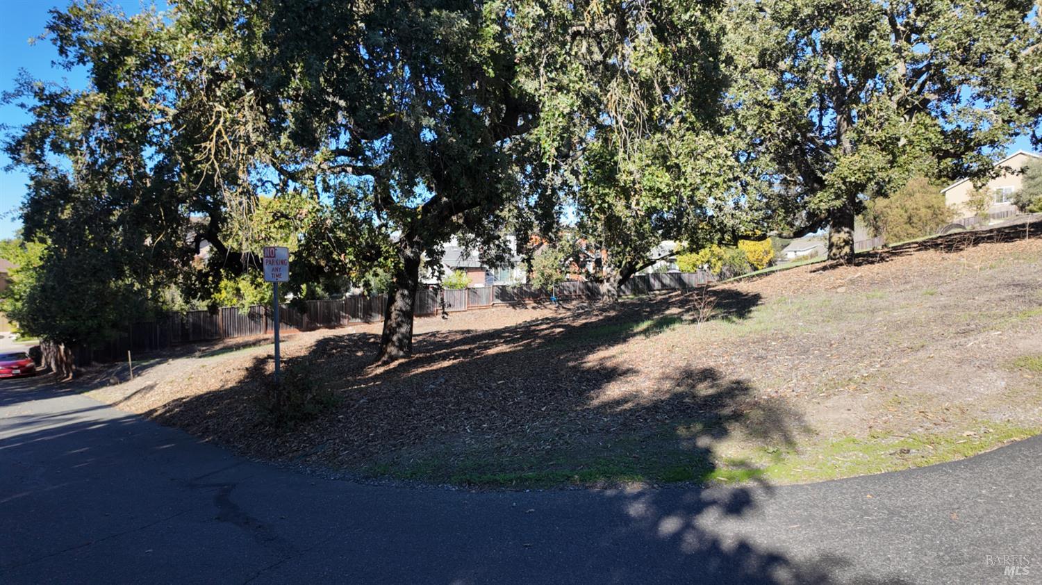 1960 Cooper Drive Santa Rosa, CA 95404 - Photo 5 of 17 a view of outdoor space and yard