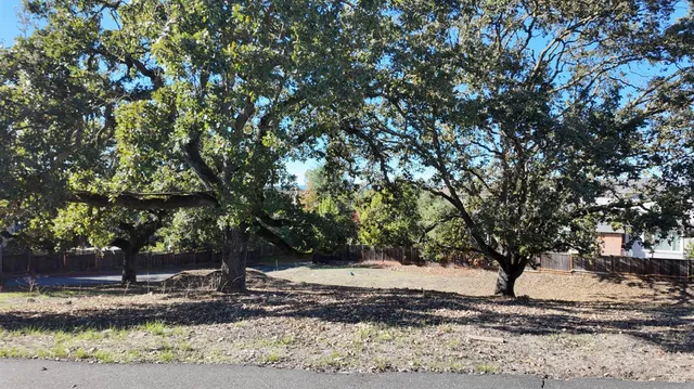 a view of a yard with large trees