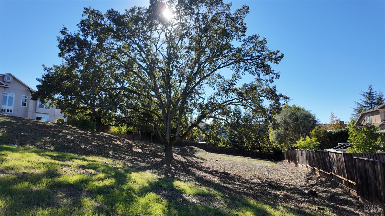 1960 Cooper Drive Santa Rosa, CA 95404 - Photo 9 of 17 a view of a yard with plants and trees