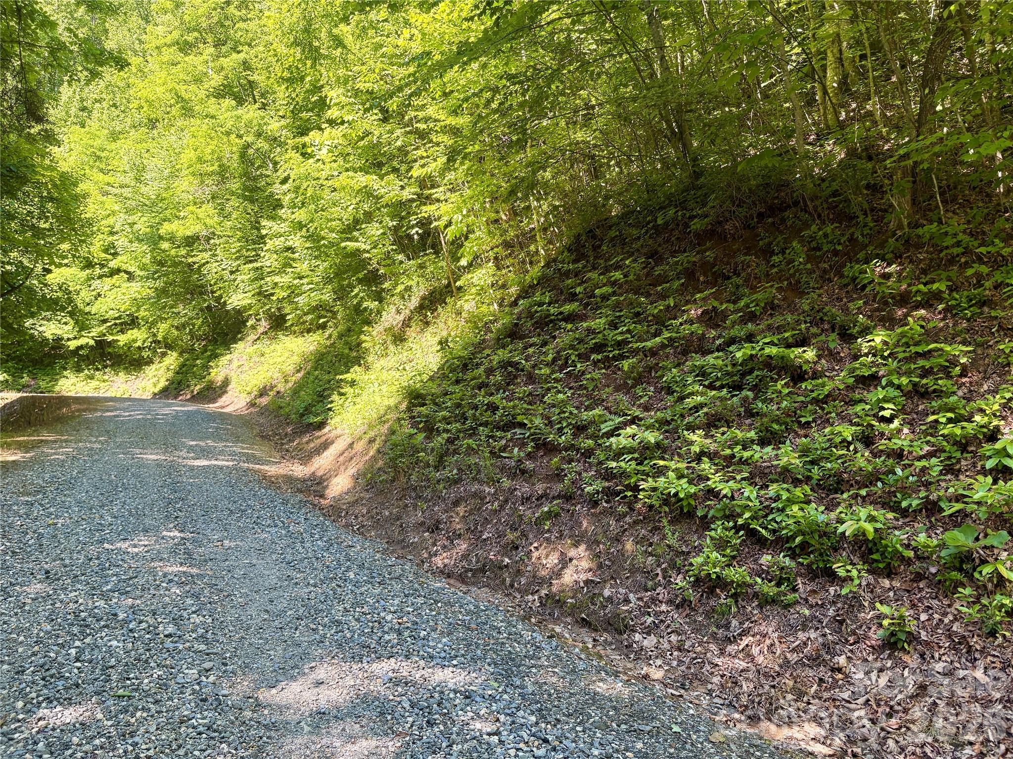 0 Middle Ridge, Unit 38 Whittier, NC 28789 - Photo 3 of 6