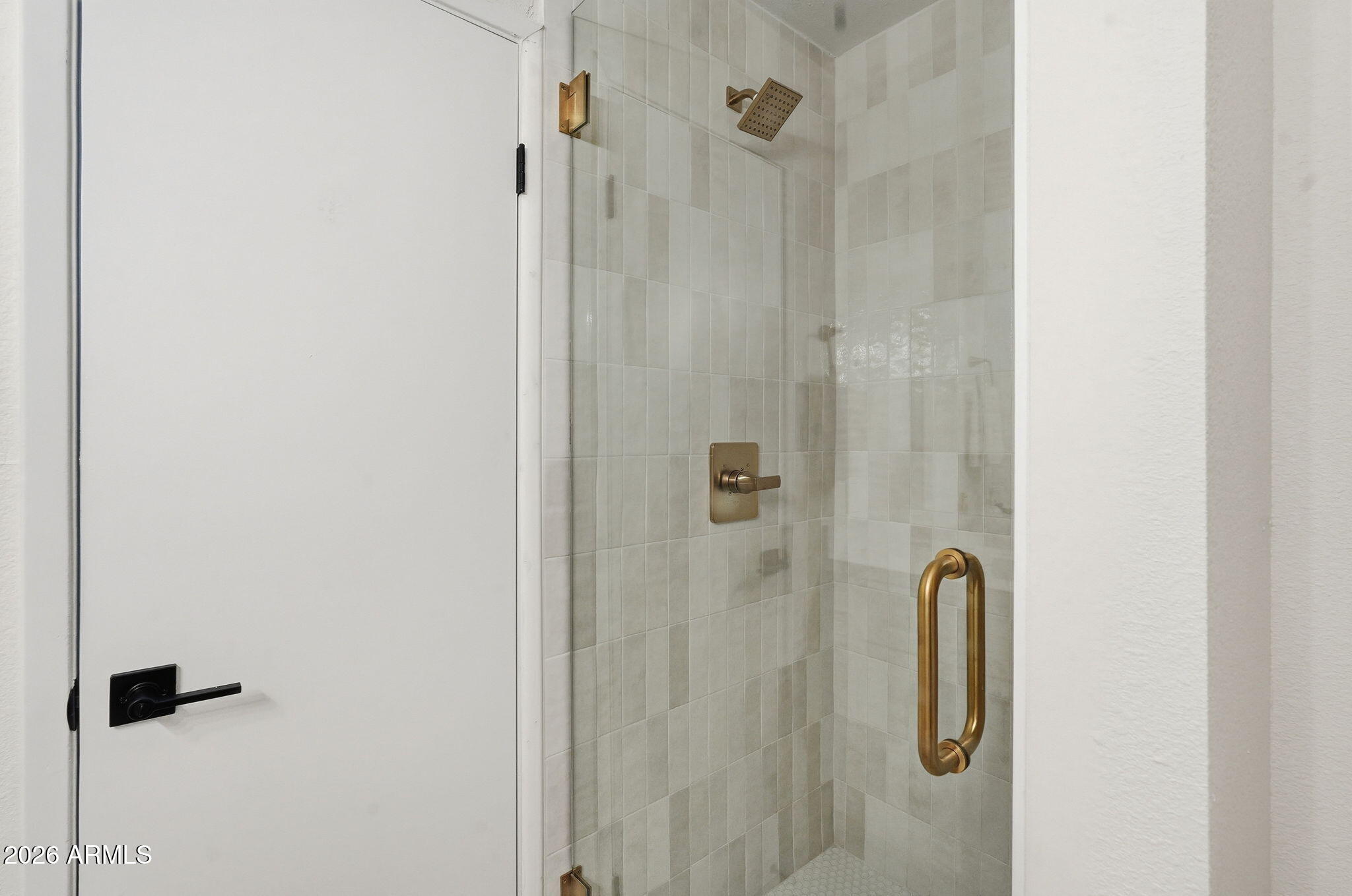 1663 West Monte Avenue Mesa, AZ 85202 - Photo 20 of 21 a bathroom with a shower