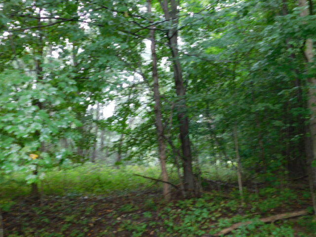 11201 Marilla Road, Unit 4 Copemish, MI 49625 - Photo 1 of 8 DSCN0455