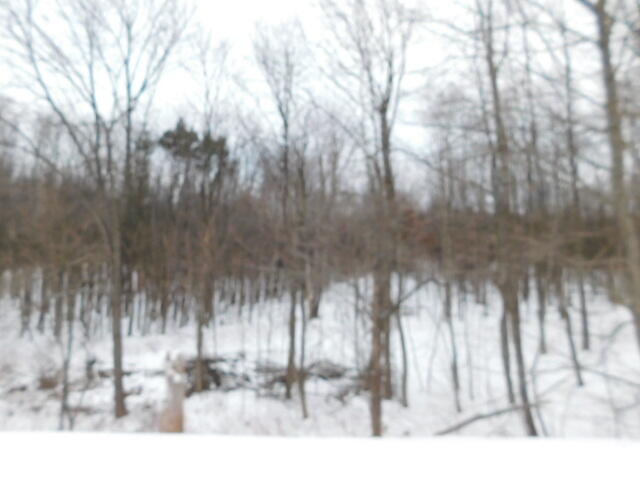 11201 Marilla Road, Unit 4 Copemish, MI 49625 - Photo 4 of 8 DSCN0701