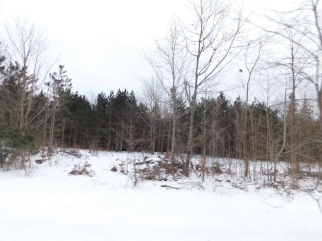 11201 Marilla Road, Unit 4 Copemish, MI 49625 - Photo 5 of 8 DSCN0697