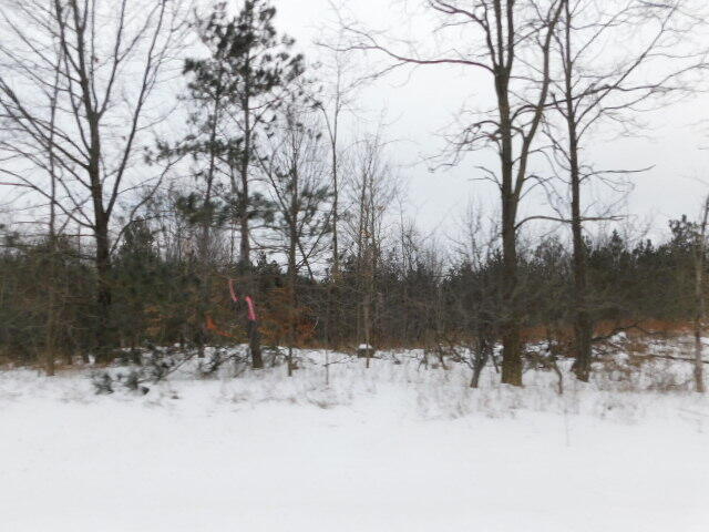 11201 Marilla Road, Unit 4 Copemish, MI 49625 - Photo 6 of 8 DSCN0690