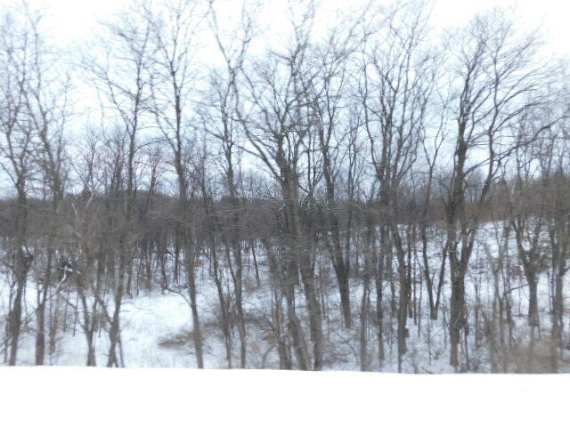 11201 Marilla Road, Unit 4 Copemish, MI 49625 - Photo 7 of 8 DSCN0685